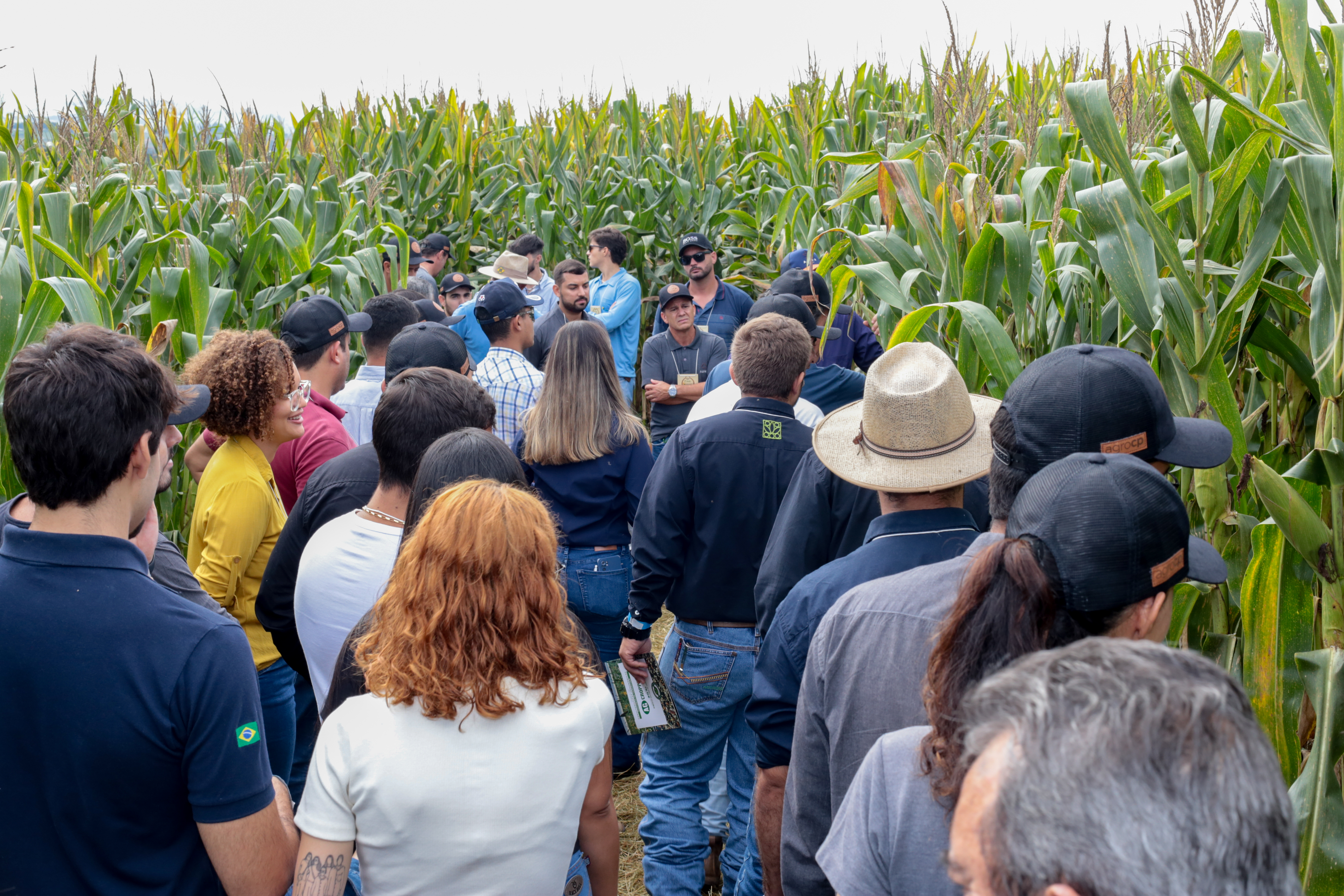 2° Dia de Campo - Foto 42